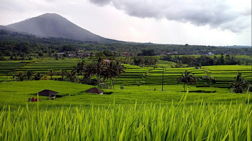Nama-nama Dataran Rendah di Pulau Bali dan Nusa Tenggara