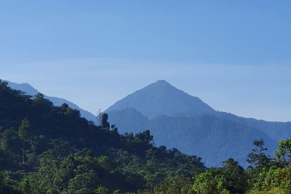 Daratan rendah dan tinggi Kalimantan