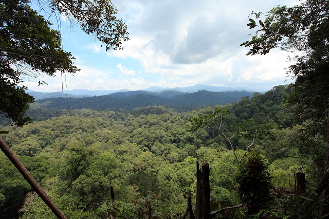 Daratan rendah dan tinggi Kalimantan