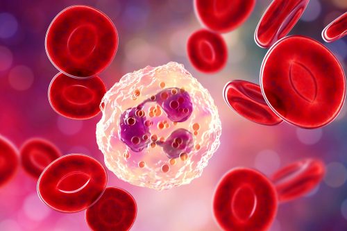 Ciri – ciri Pembelahan Mitosis dan Meiosis yang Harus Kamu Pahami