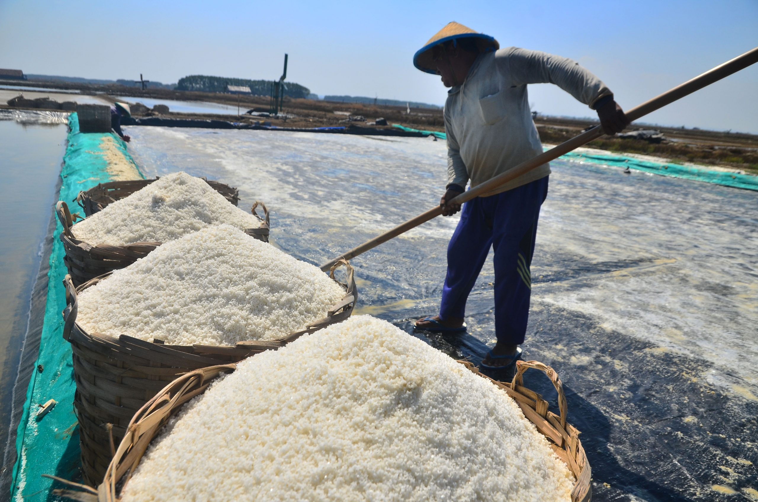 Contoh Garam Asam, Kuat, Lemah, dan Netral Beserta Penjelasannya – Blog ...