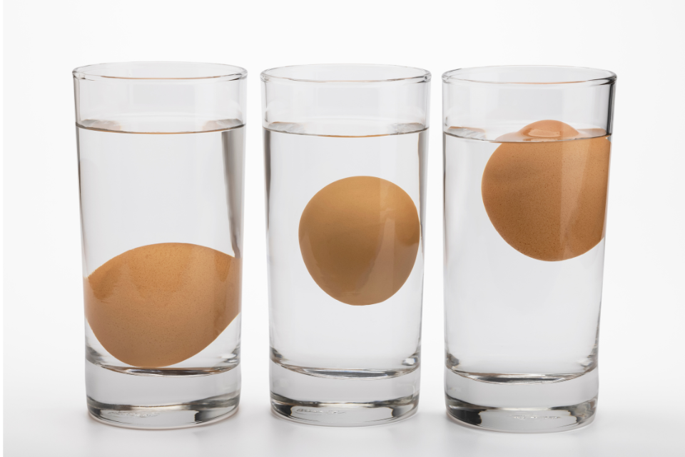 Contoh Laporan Percobaan Telur Mengapung di Air Garam dan Kesimpulannya Singkat
