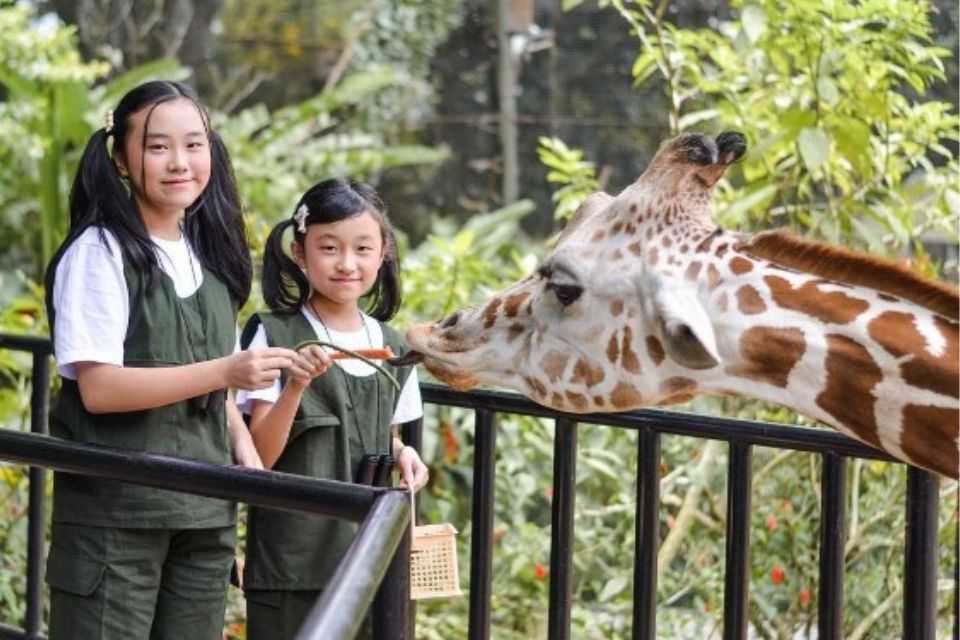 tempat bermain anak di Bandung indoor dan outdoor