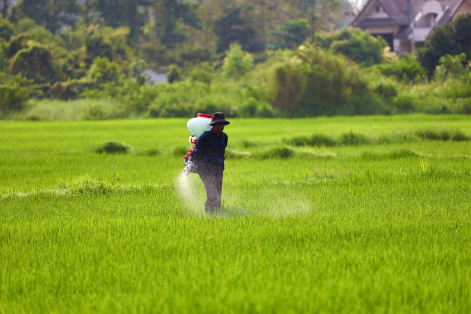 contoh molekul senyawa