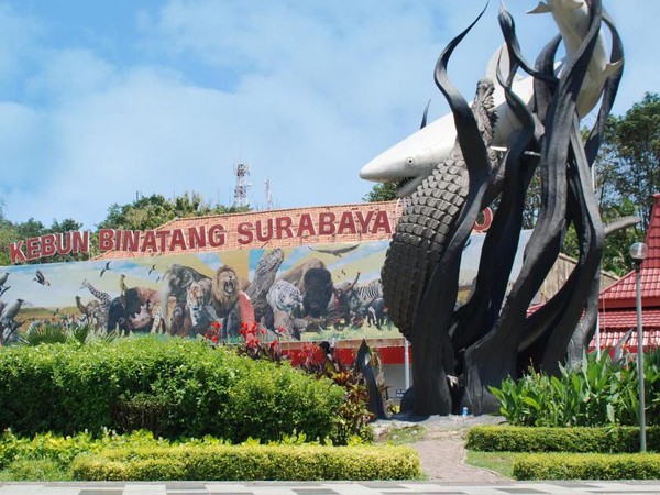 4. Legenda Surabaya