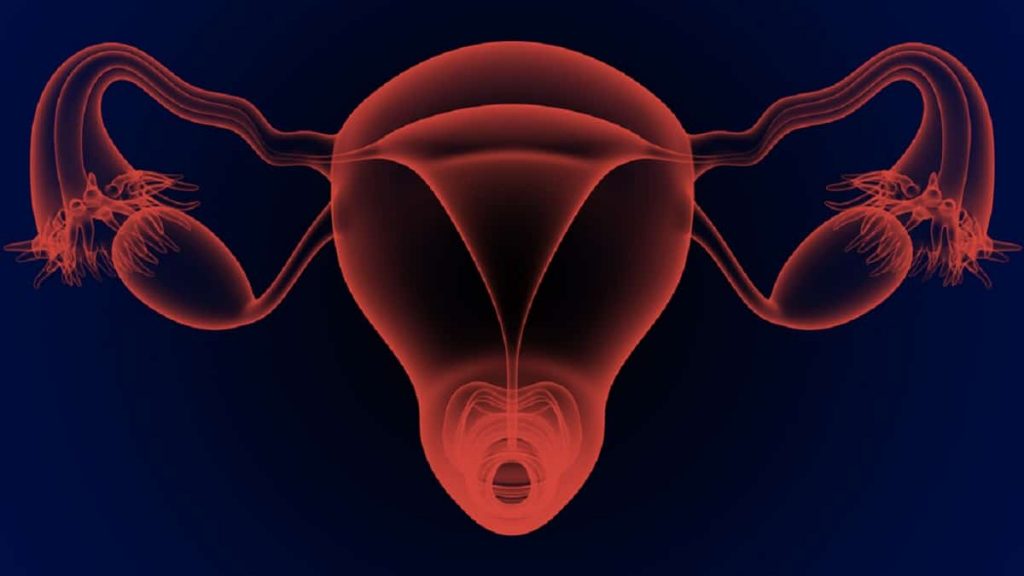 Contoh Poster Pencegahan Penyakit Pada Sistem Reproduksi Manusia
