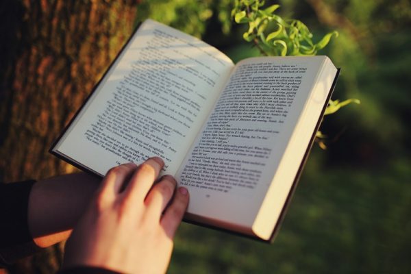 25 Contoh Soal Teks Deskripsi dan Jawabannya, Pilihan Ganda dan Essay