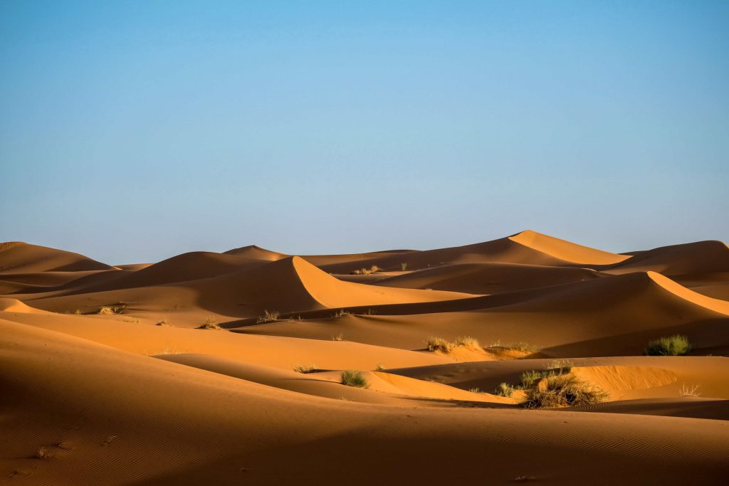 Ekosistem gurun termasuk dalam macam macam ekosistem darat