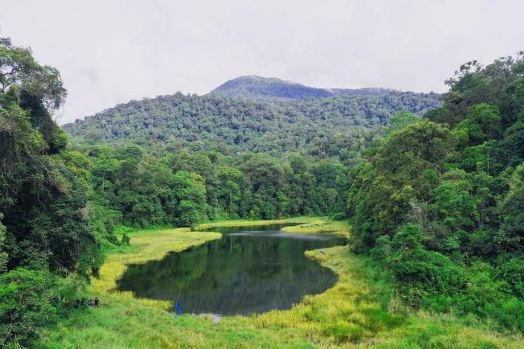  4. Cagar Alam Batang Gadis Sumatera Utara