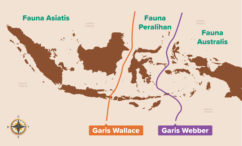 Faktor yang Mempengaruhi Persebaran Flora dan Fauna di Indonesia