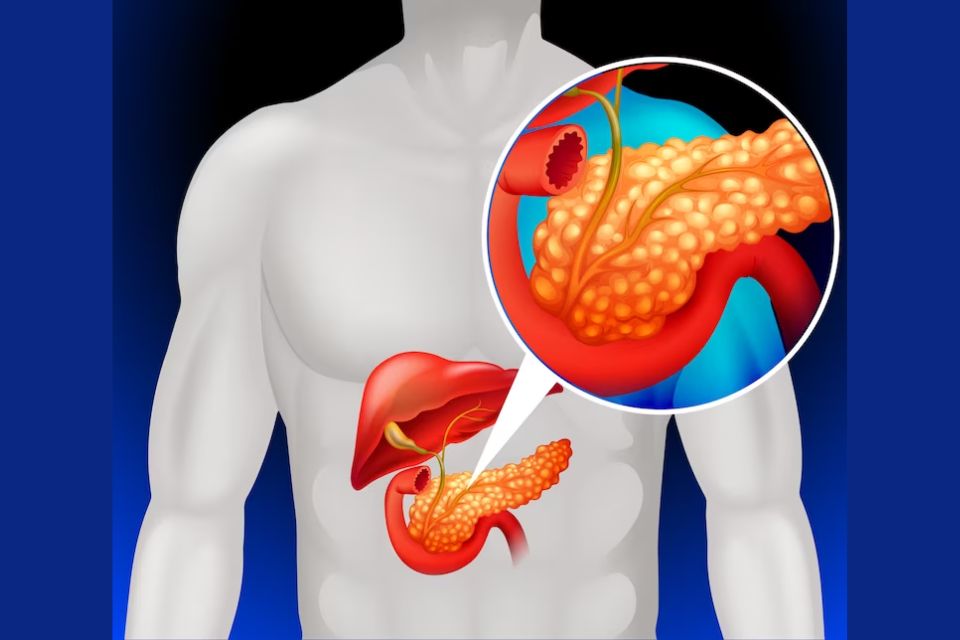 Ringkasan Materi Biologi Metabolisme Kelas 12 dan Penjelasannya