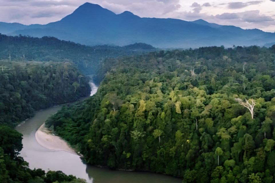 kawasan wilayah konservasi flora dan fauna di Indonesia