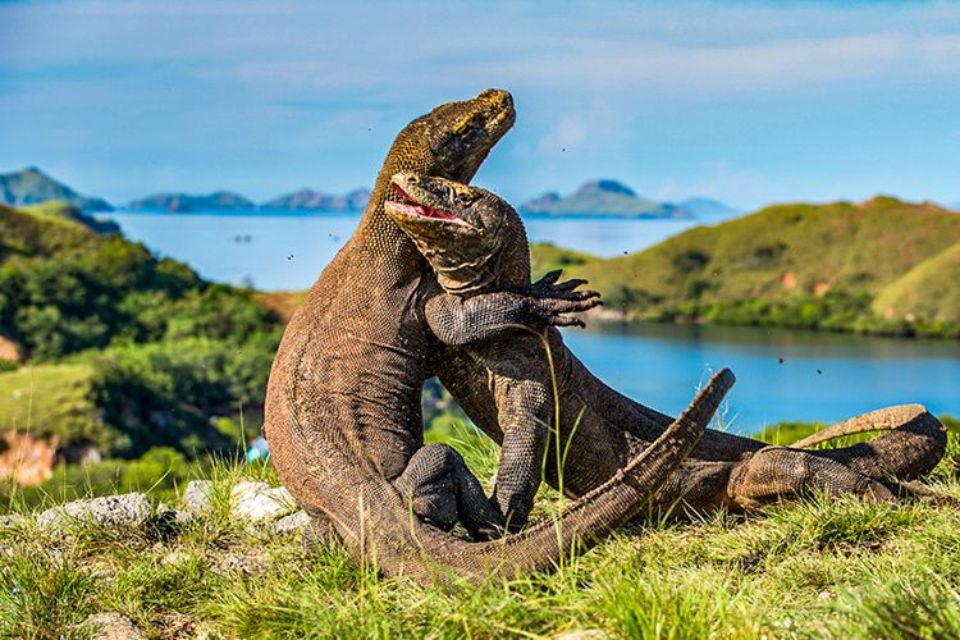 kawasan wilayah konservasi flora dan fauna di Indonesia