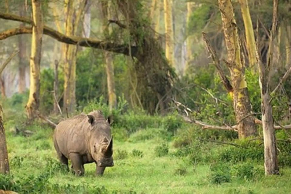 kawasan wilayah konservasi flora dan fauna di Indonesia