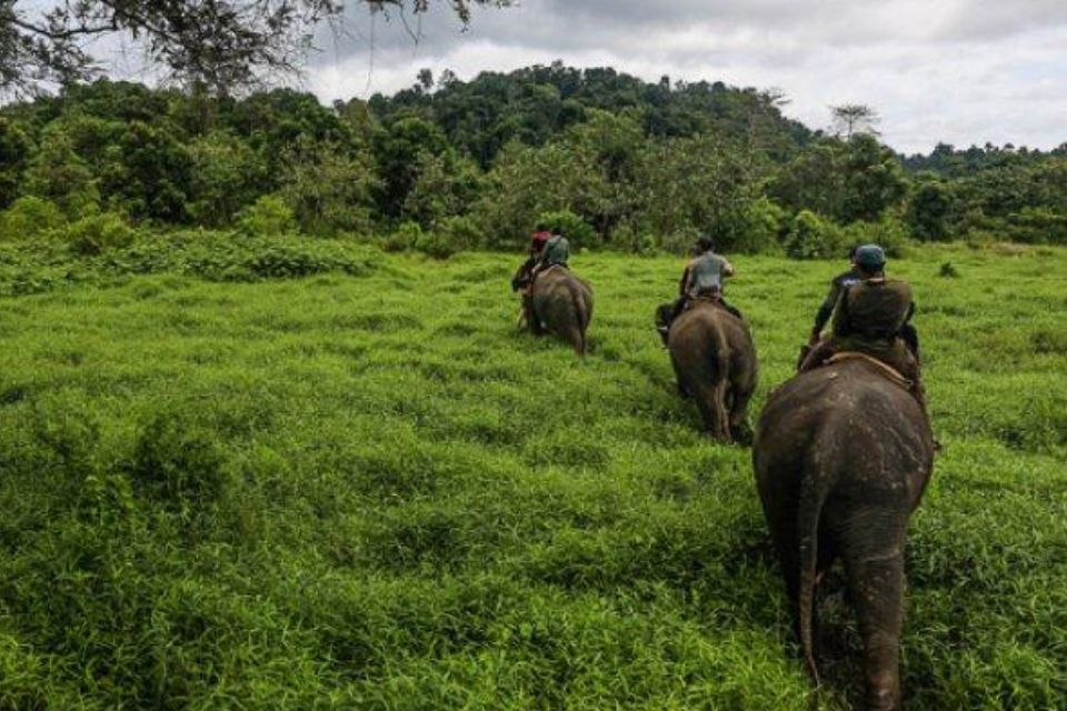 kawasan wilayah konservasi flora dan fauna di Indonesia