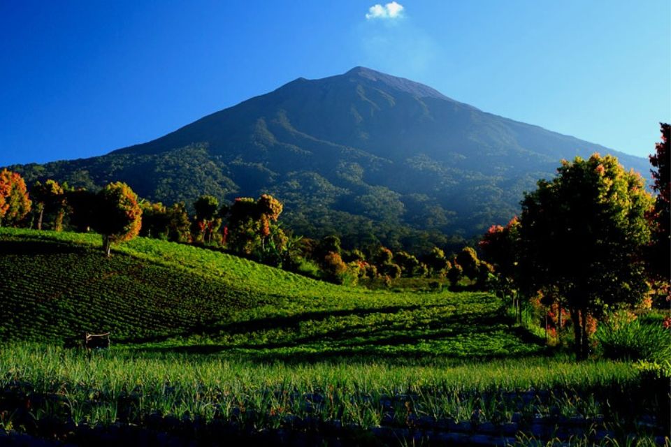 kawasan wilayah konservasi flora dan fauna di Indonesia 7