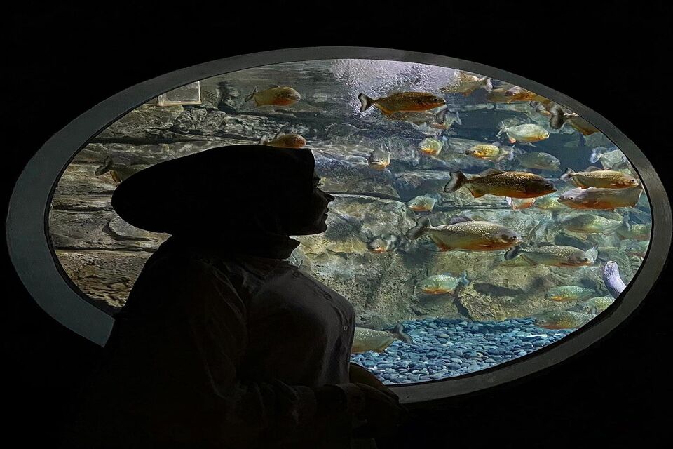Jakarta aquarium 1