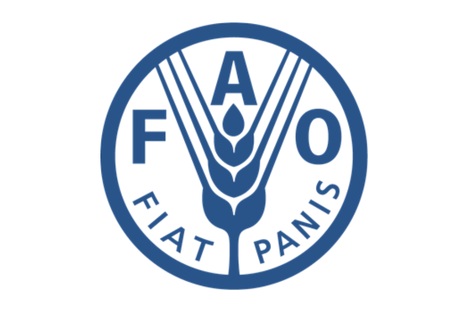 Organisasi Internasional FAO