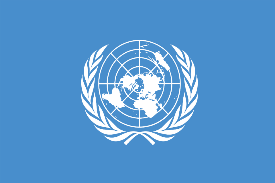 Organisasi Internasional PBB