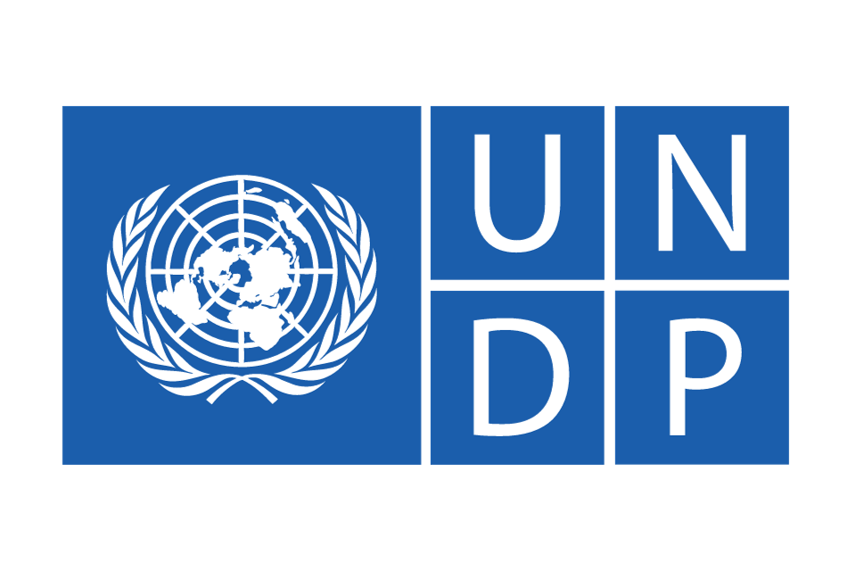 Organisasi Internasional UNDP