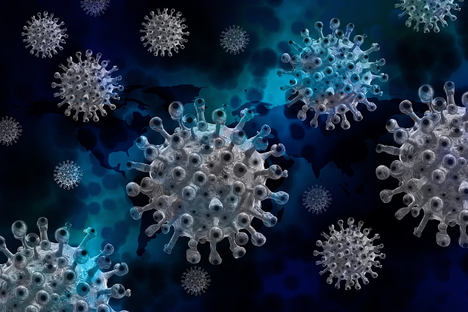 Perbedaan Virus dan Bakteri Beserta Penjelasannya Lengkap