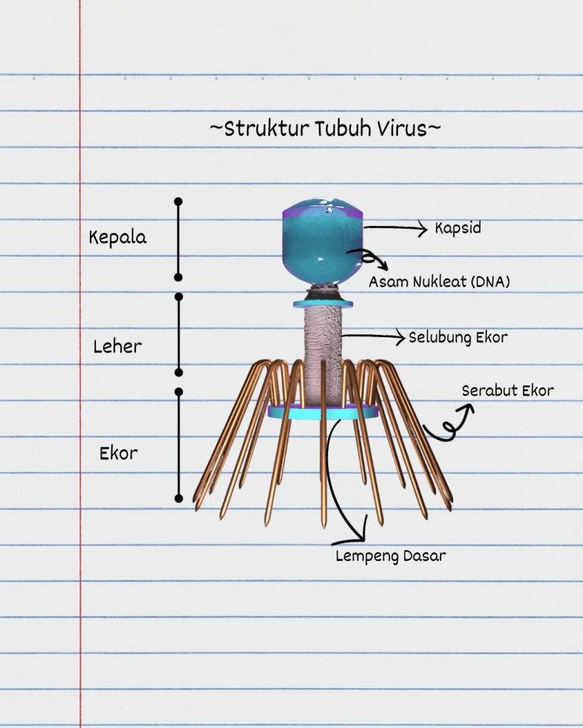 Struktur tubuh virus