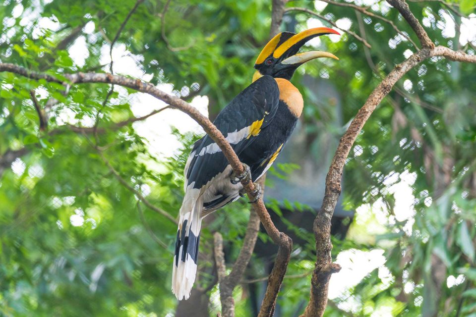 Tiket Masuk Ancol Jakarta Bird Land