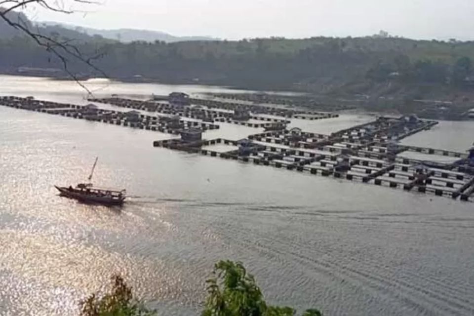 Wisata Cirata Jangari