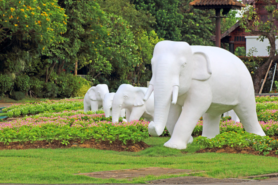 Tempat Wisata di Pekanbaru yang lagi hits 2023, Temukan Keunikan Wisata di Kota Ini!