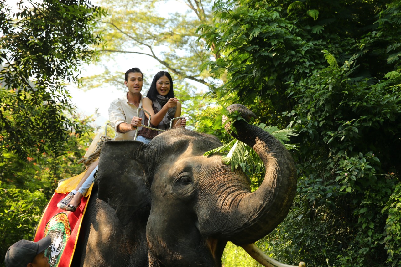 cara masuk taman safari 2023