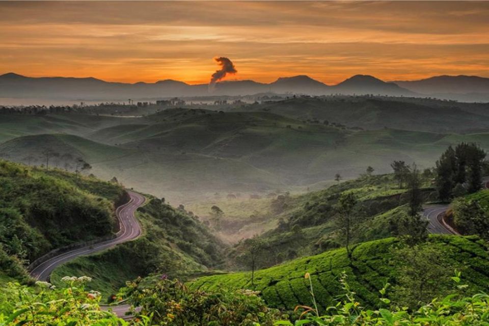 Kebun teh Cukul