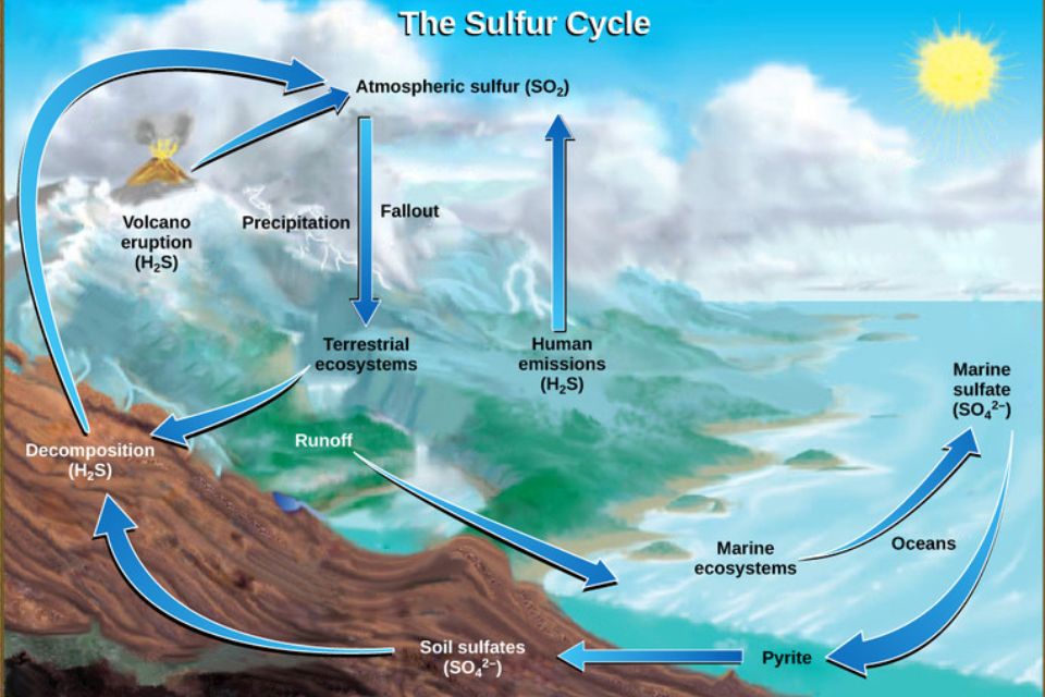 Daur biogeokimia