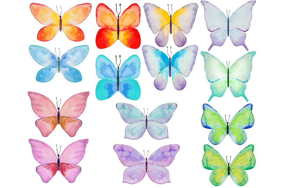 Gambar Kupu-kupu yang Mudah dan Cantik untuk Anak-anak, Keren!
