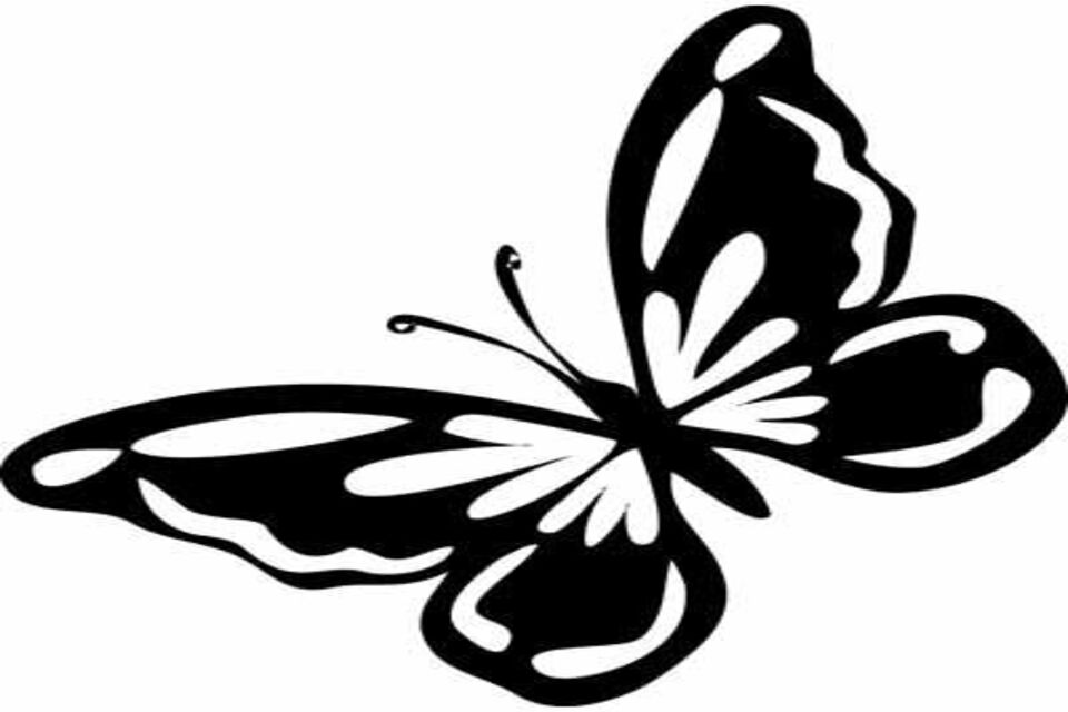 Gambar Kupu-kupu yang Mudah dan Cantik Untuk Anak-anak, Keren