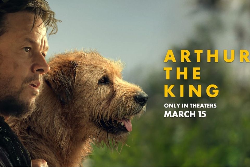 Daftar Film yang Akan Tayang Maret 2024 dan Jadwal Tayang dari Horor Hingga Action