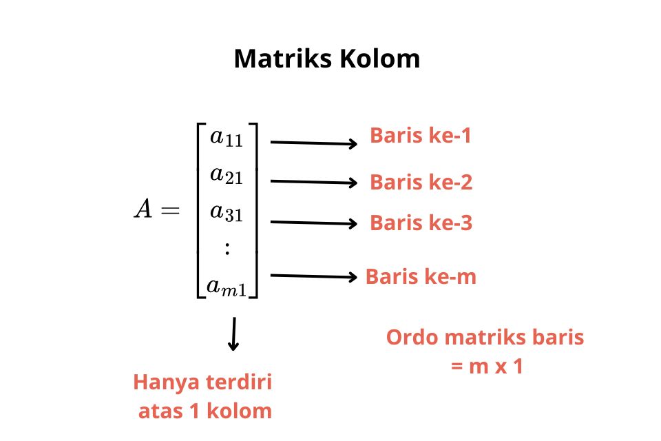 Matriks kolom