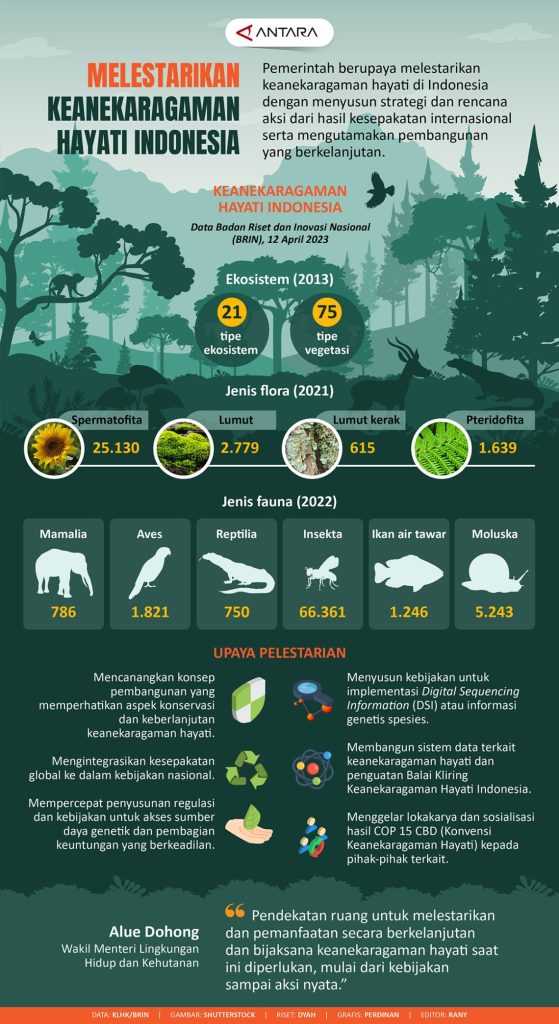 gambar 10 contoh gambar poster keanekaragaman hayati