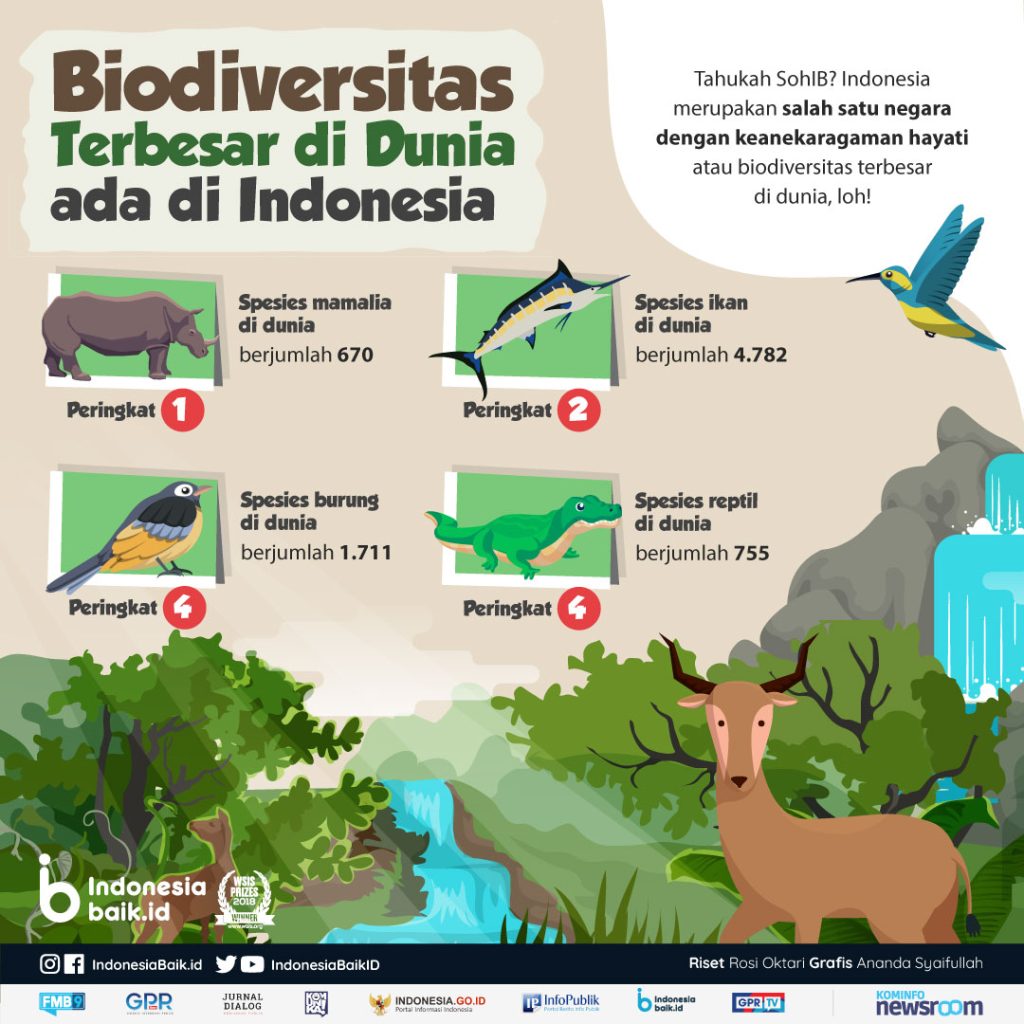 gambar 12 contoh gambar poster keanekaragaman hayati