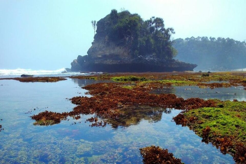 Tempat Wisata Malang Selatan yang Bagus