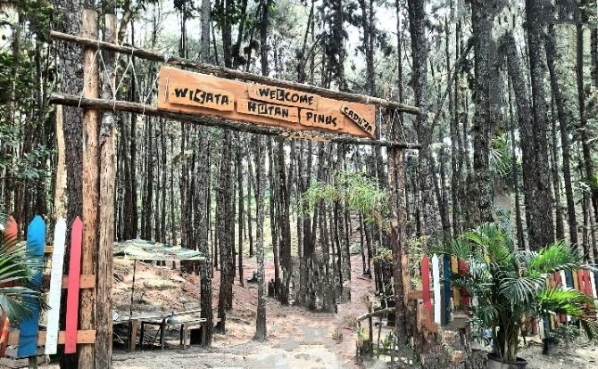 Bukit Cadika Hutan Pinus