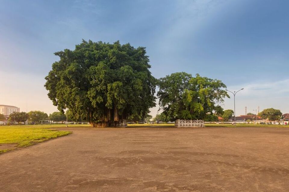 6. Alun-alun Kidul