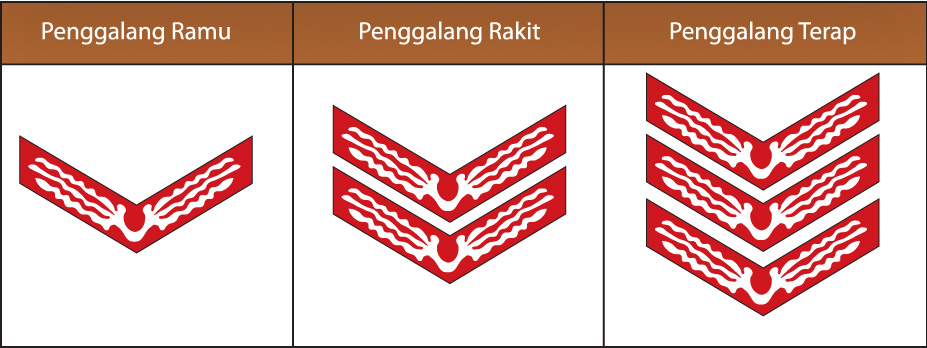 apa yang dimaksud dengan pramuka penggalang - tingkatan penggalang