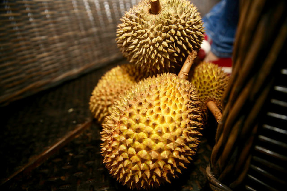 Durian Sinapeul