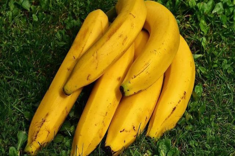 Pisang Apuy