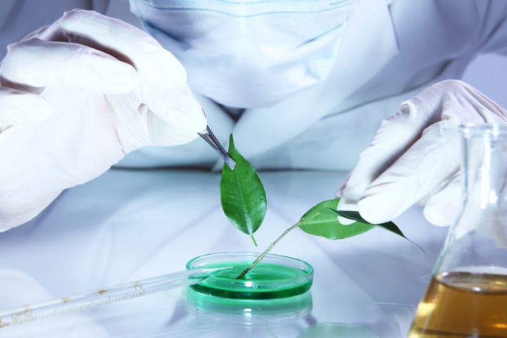 Salah Satu Dampak Bioteknologi di Bidang Sosial Ekonomi Masyarakat Adalah?