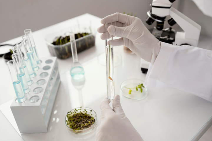 Tindakan Manusia yang Bertujuan Mencegah Dampak Negatif Penggunaan Hasil Bioteknologi Adalah?