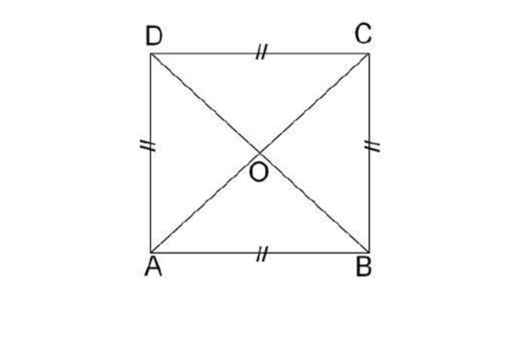 6 Macam-macam Segi Empat beserta Gambar dan Sifatnya dalam Matematika ...