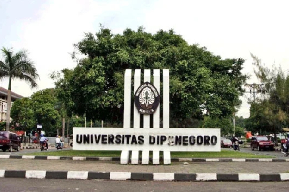 nilai rapor SNBP UNDIP Semarang