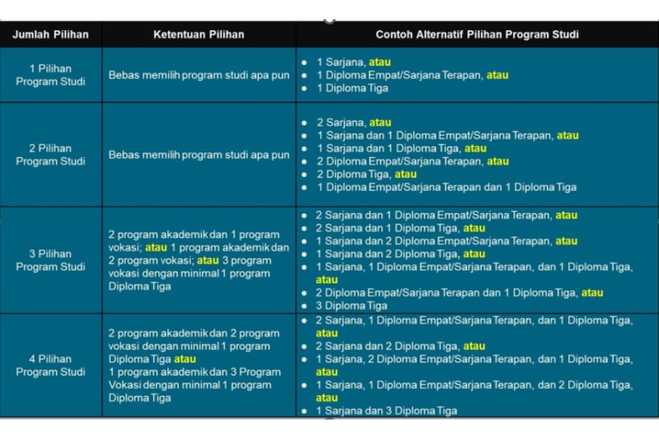 Program Studi di SNBT 2025 Boleh Pilih 4 Jurusan, Seperti Apa Contohnya