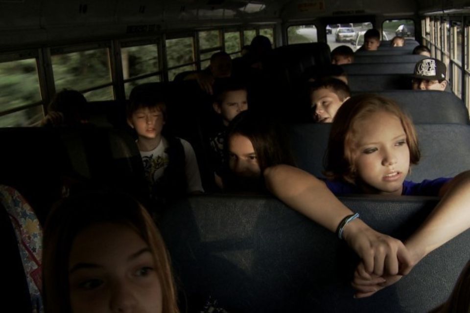 2. Bully